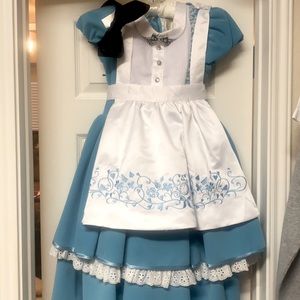Alice in Wonderland Deluxe Costume. Youth Medium.